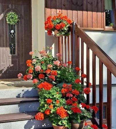 Goscinne Keja Wisełka