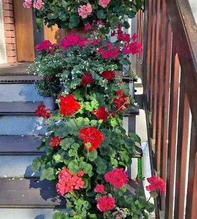 Goscinne Keja ホームステイ