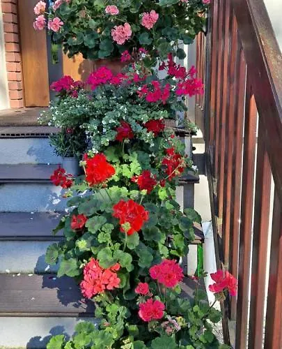 Goscinne Keja Quarto em Acomodações Particulares