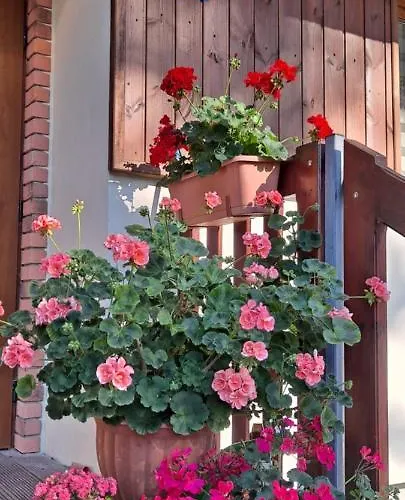 Goscinne Keja Wisełka